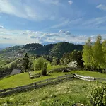 Mountain View * Kamnik