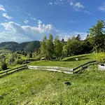 Mountain View * Kamnik