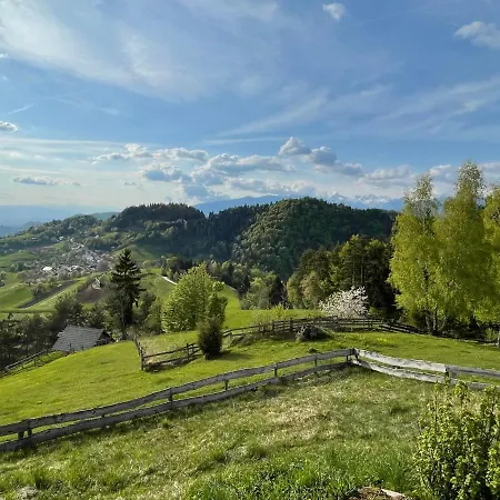 Mountain View * Kamnik