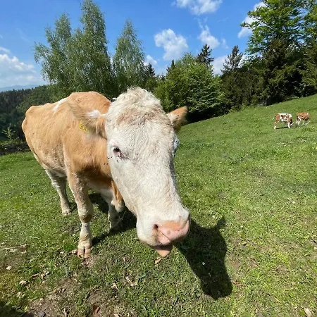 Mountain View Ferienhaus Kamnik
