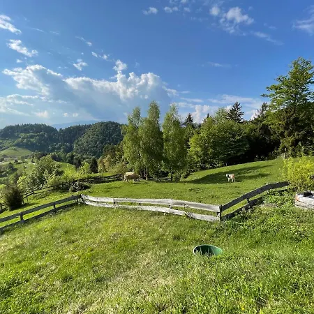 Mountain View * Kamnik
