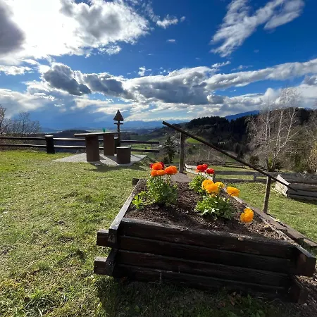 Mountain View Holiday home Kamnik