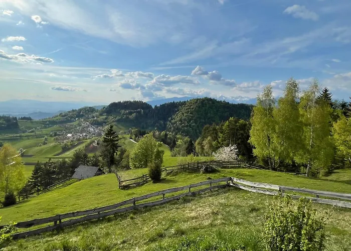 Mountain View * Kamnik