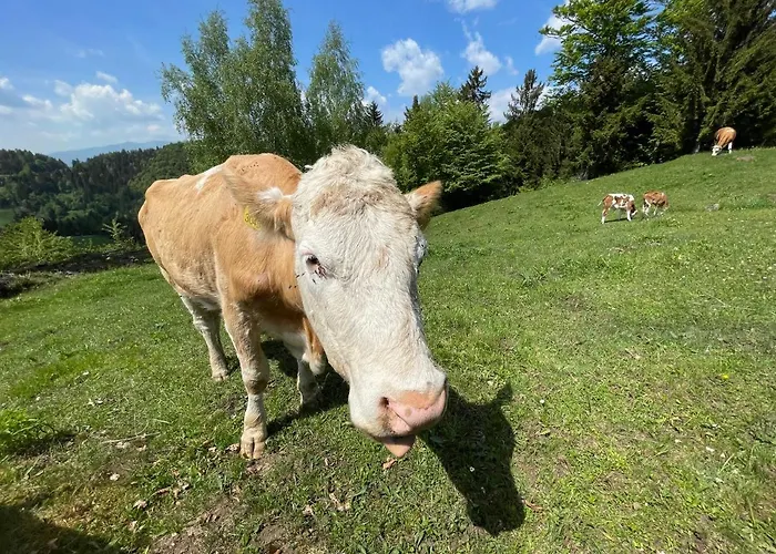 Mountain View Ferienhaus Kamnik