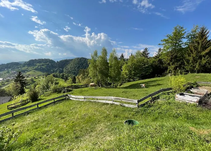 Mountain View * Kamnik